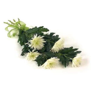 Моя дорогая